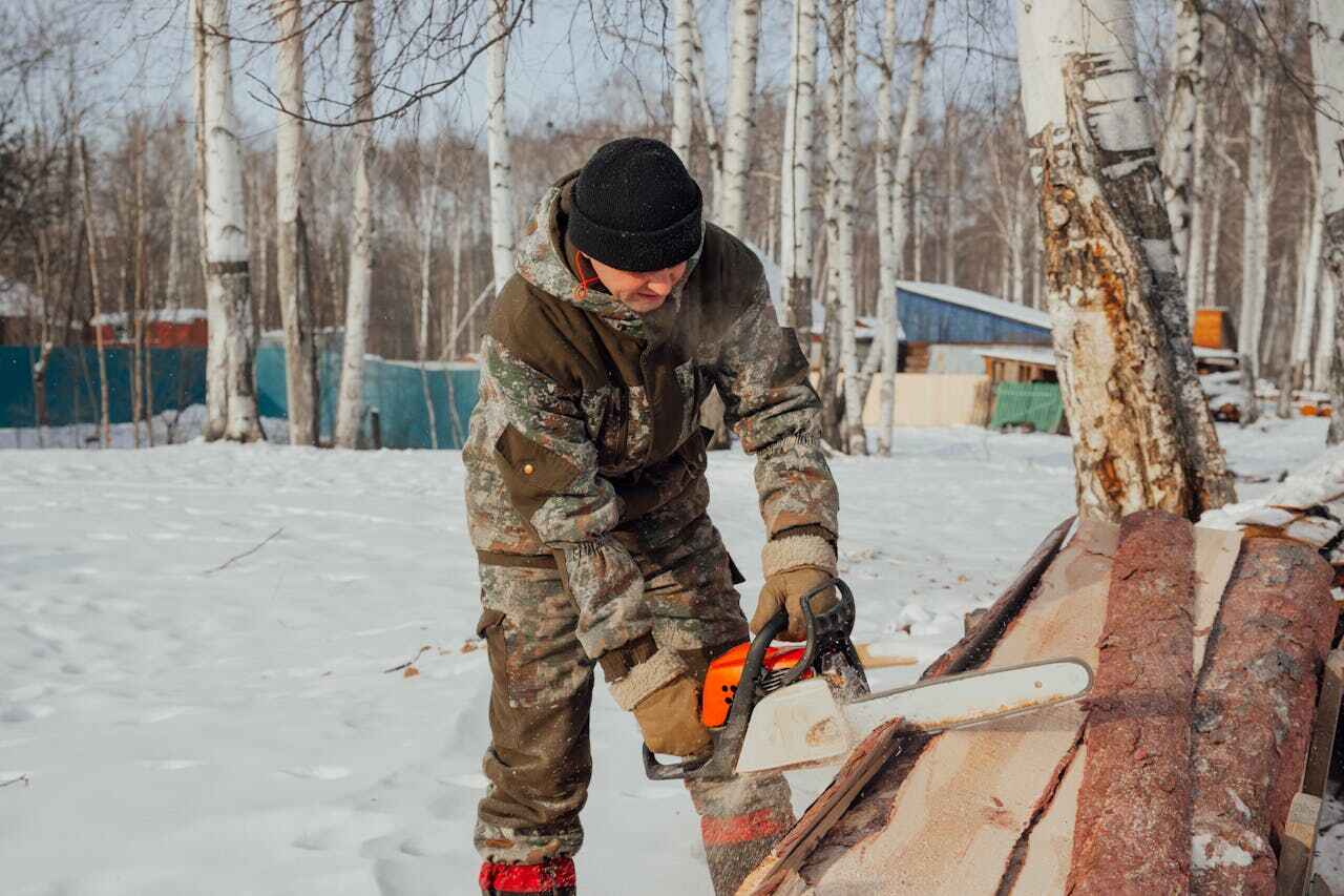 Best Tree Cutting Near Me  in USA